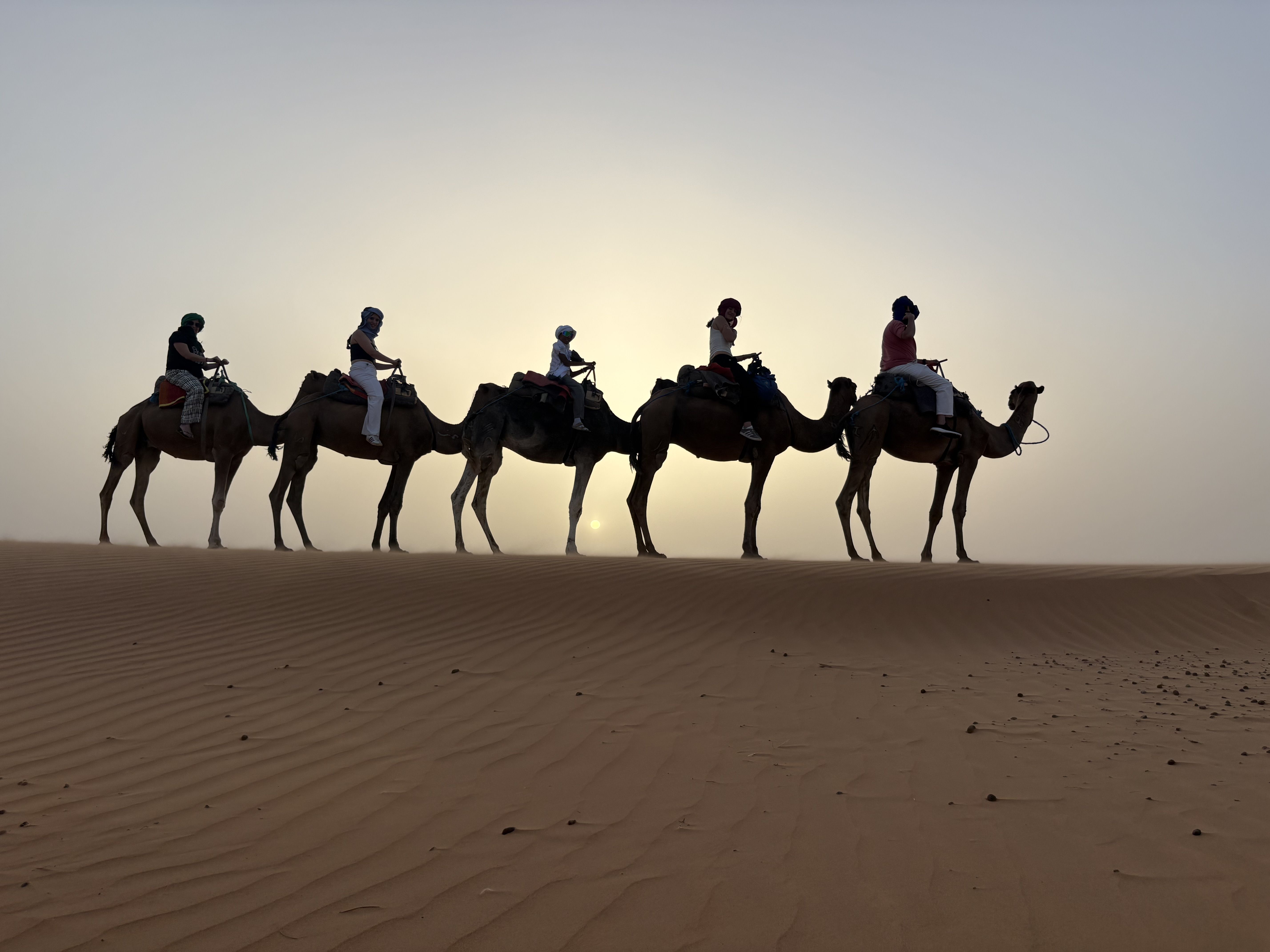 Los Reyes Magos empiezan su camino · Erg Chebbi (Marruecos) FOTO: José María Ripol Mas