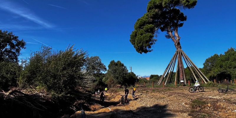 La zona del Pi d'en Xandri és de les més afectades
