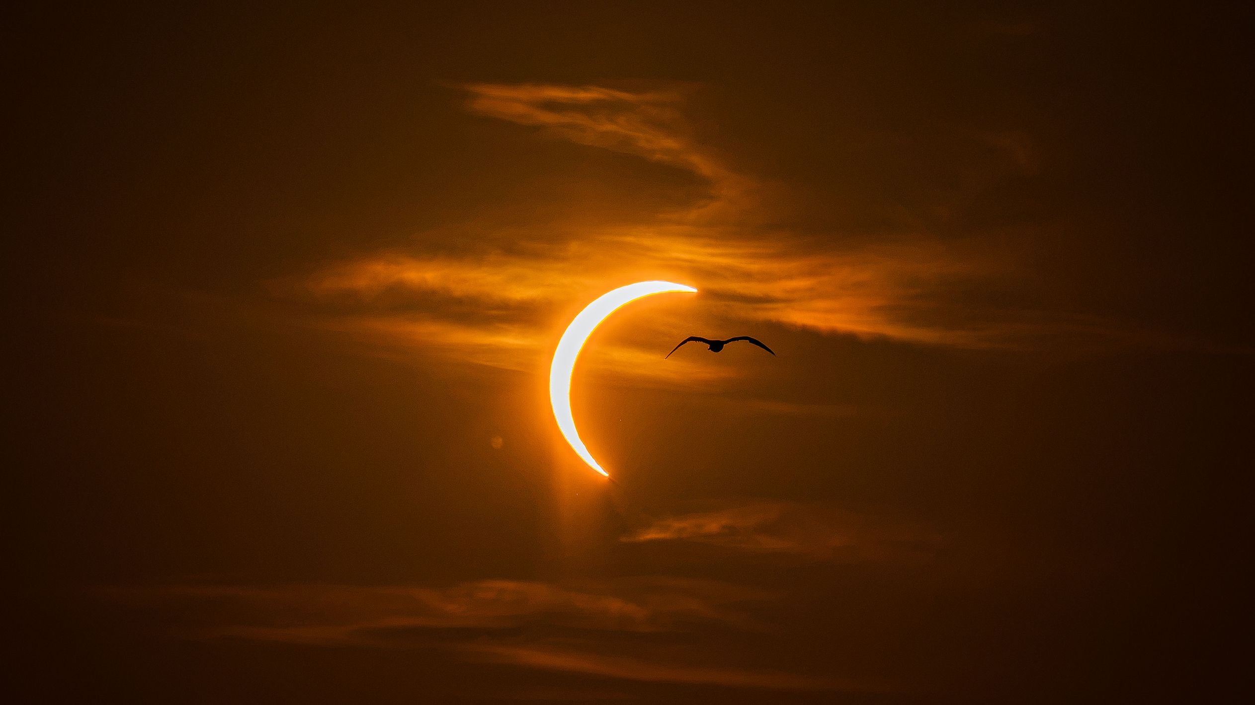 2n premi categoria eclipsi: 'L'últim vol del dia' a Mallorca. FOTO: Jaume Benet Bove