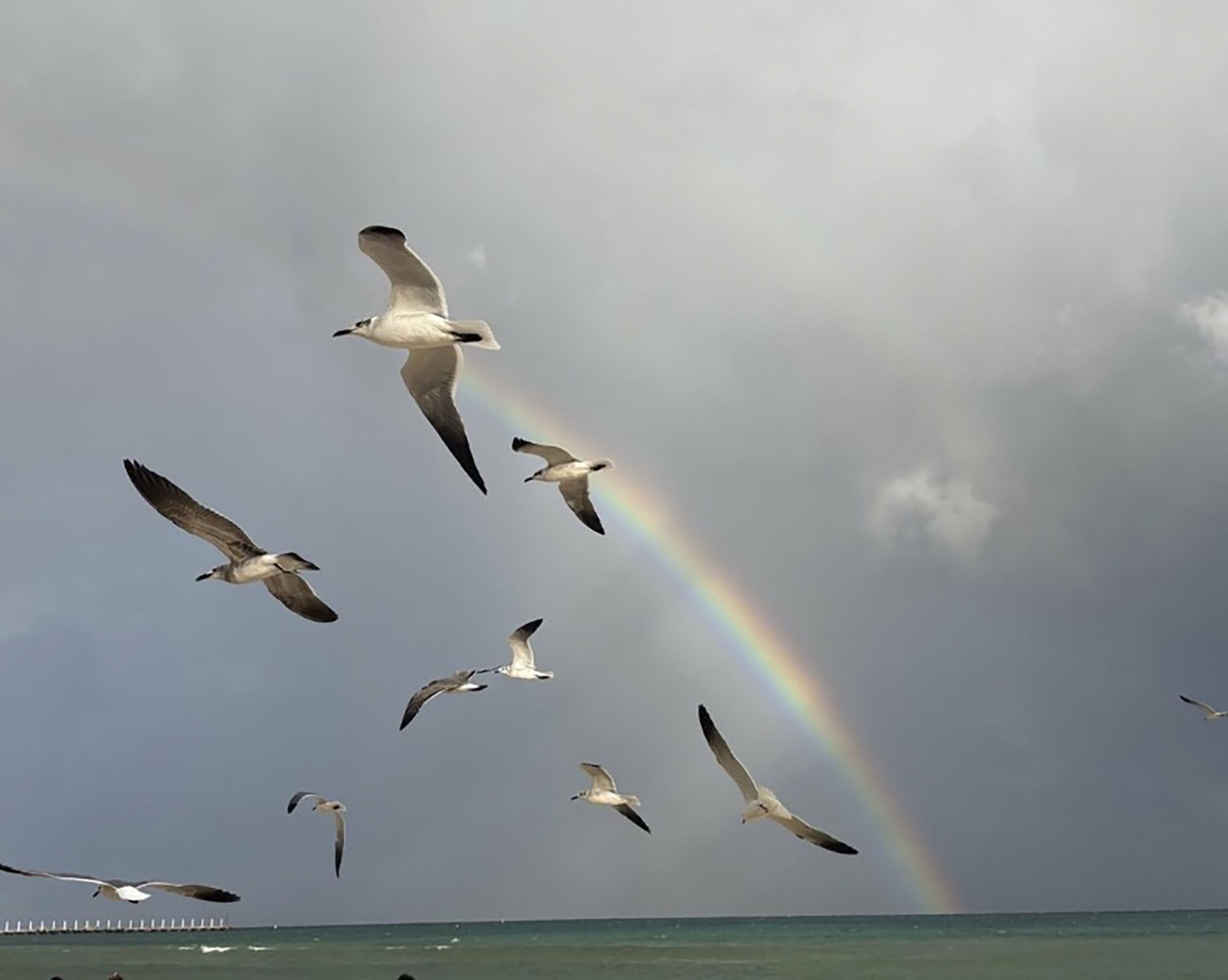 Premi votació popular: 'Desprès de la tempesta' a Tulum. FOTO: Mireia Colet Vallès