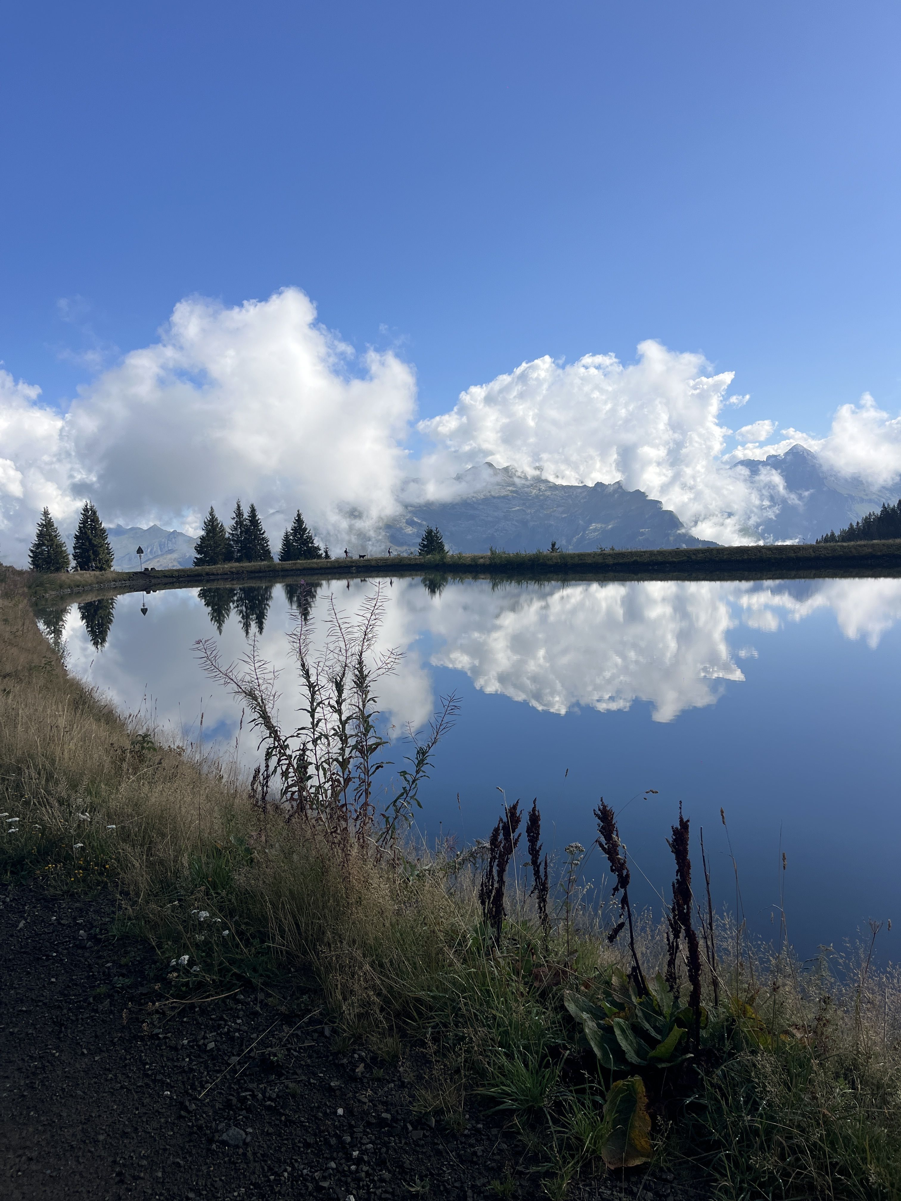 Reflexes alpins · Tête des Saix, Samoëns, Alta Savoia, Alvèrnia Roine Alps. FOTO: Meri Font Gomez
