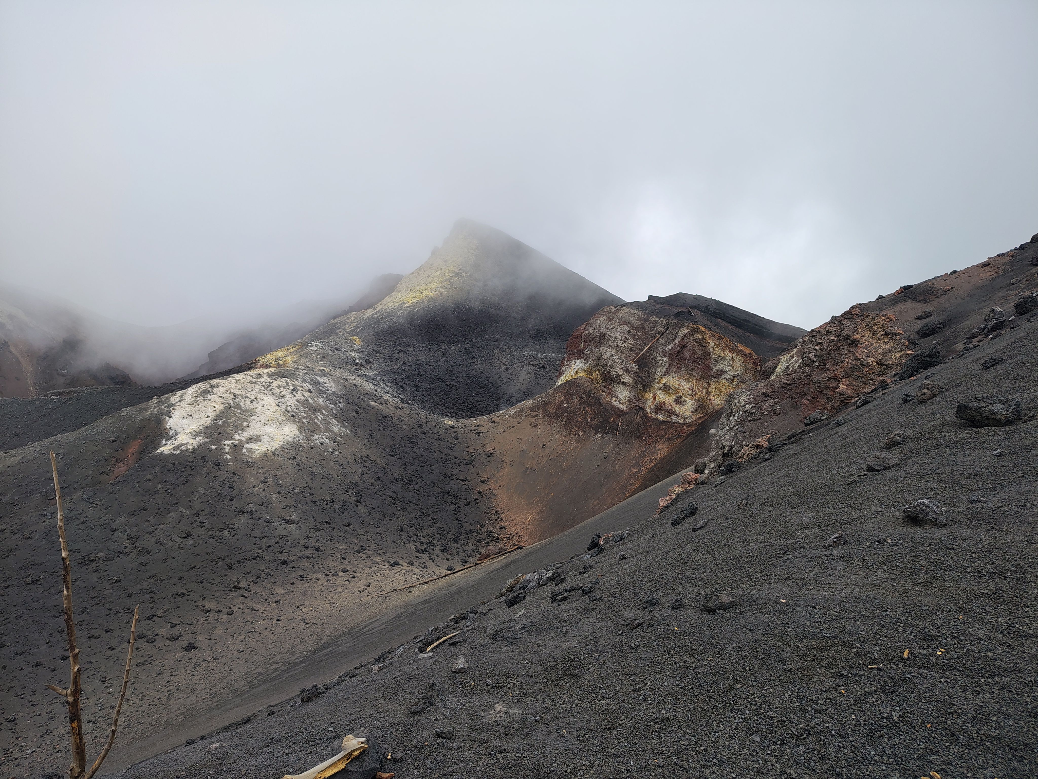 Renéixer de les cendres · Volcà Tajogaite, La Palma FOTO: Tatiana Salaet Fernández